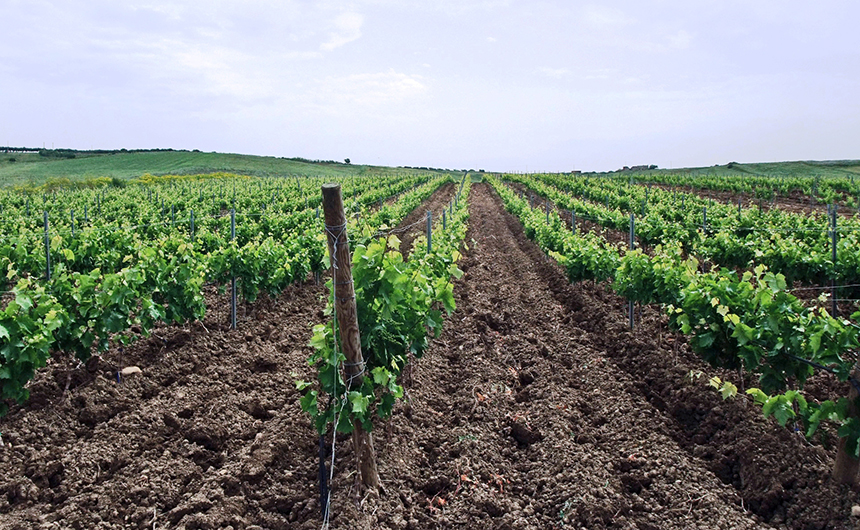 HOW LA BAMBINA WAS BORN