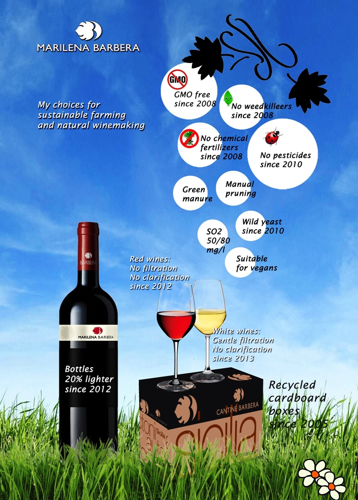 Inzolia: infografica vitigno e vino